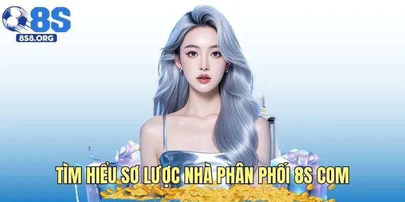 Tìm hiểu sơ lược nhà phân phối 8S com
